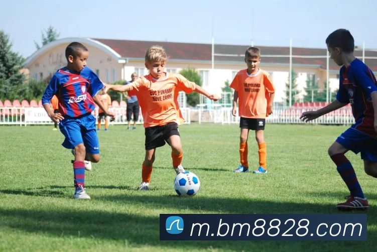 企业概况